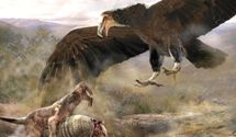 Псевдозубы, огромные когти и крылья: 7 самых больших птиц из прошлого
