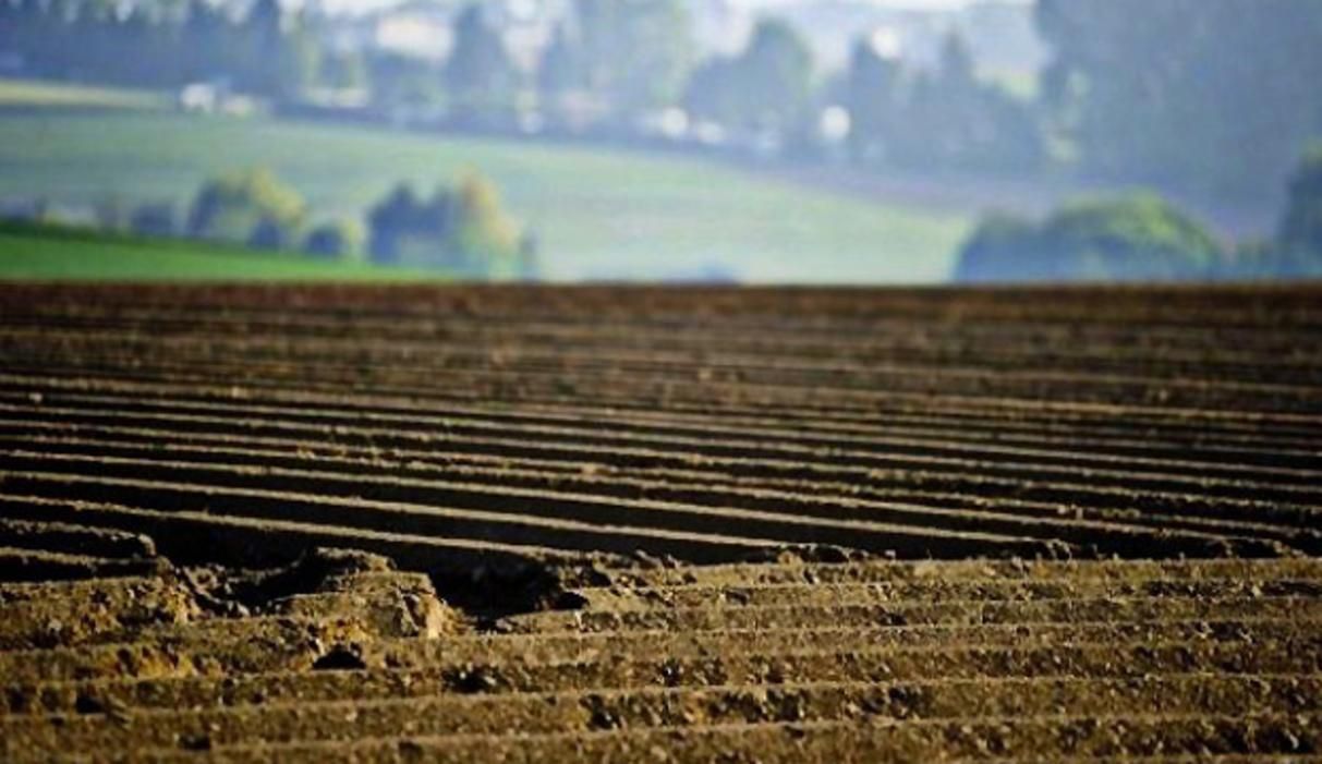 Фурса радить українцям не продавати земельні паї до 2024 року