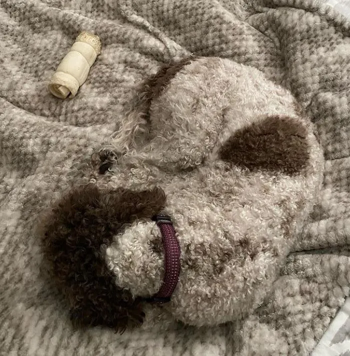 Уютная маскировка Уютная маскировка