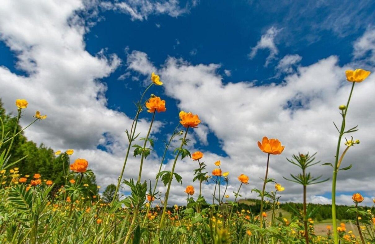 Погода 6 июня 2021: прогноз от синоптиков Украины Погода 6 июня 2021: прогноз от синоптиков Украины