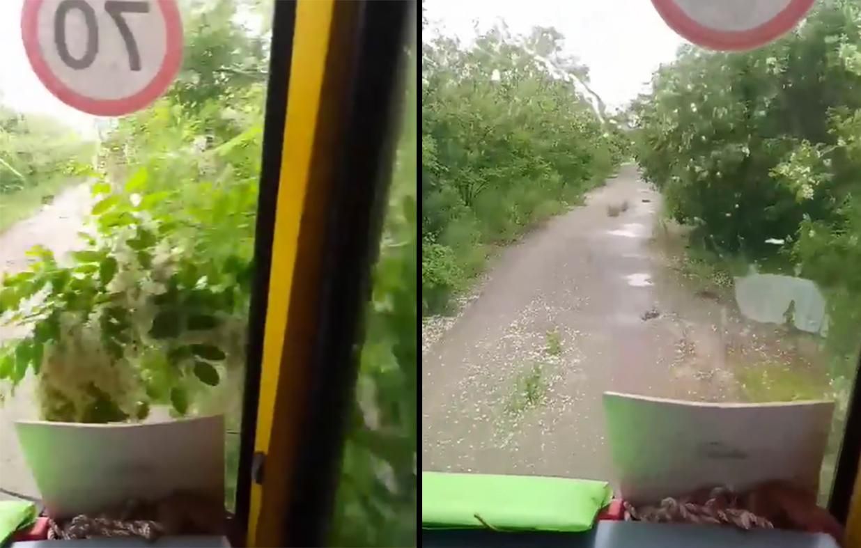 Стежкою через хащі: як учнів під Кропивницьким возять до школи – відео Стежкою через хащі: як учнів під Кропивницьким возять до школи – відео