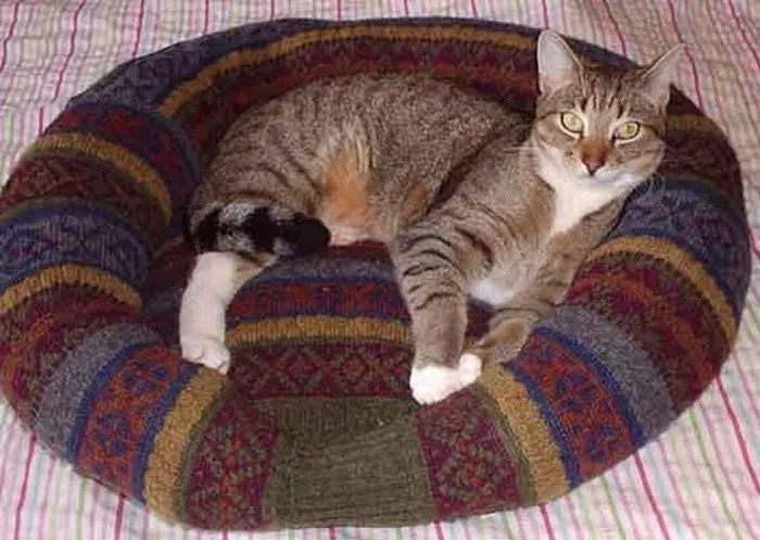 Лежак для домашнього вихованця Лежак для домашнього вихованця