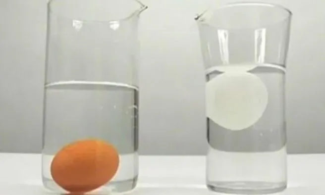 Свіжі яйця Свіжі яйця