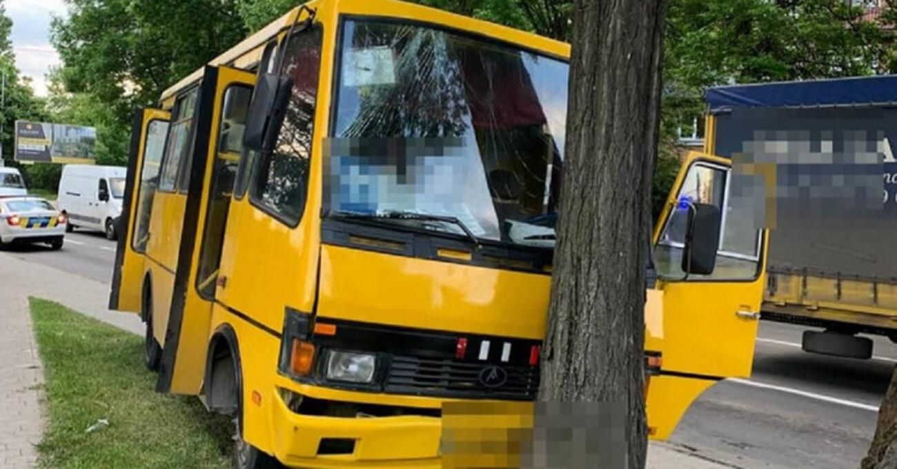Во Львове автобус с пассажирами влетел в дерево: пострадали 5 человек - фото и видео
