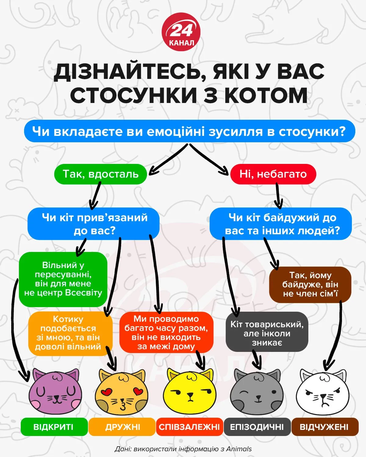 Какие у вас отношения с вашим котом / Инфографика 24 канала