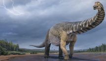 Самый большой динозавр страны: в Австралии откопали гигантского ящера