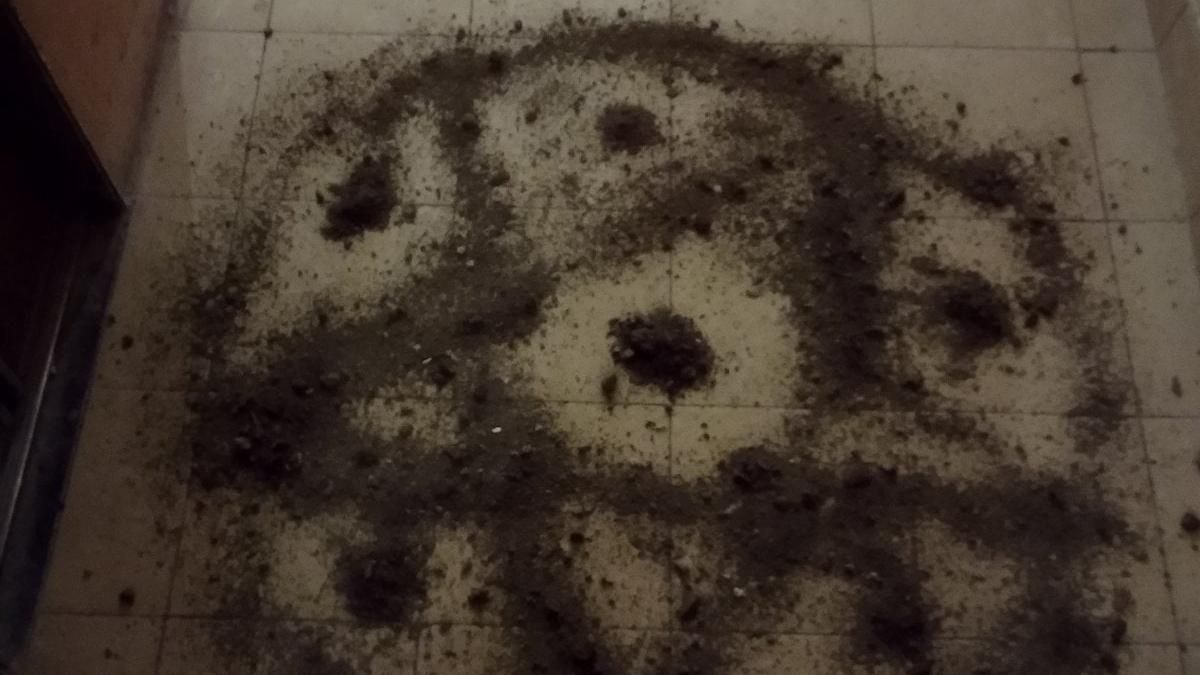 У під’їзді в Одесі виявили "магічну" пентаграму: фото У під’їзді в Одесі виявили "магічну" пентаграму: фото