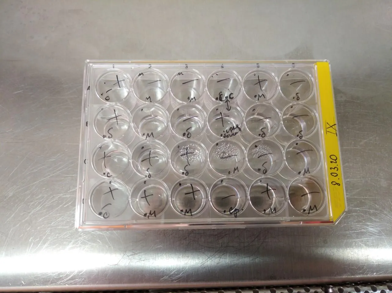 Коловертки Коловертки