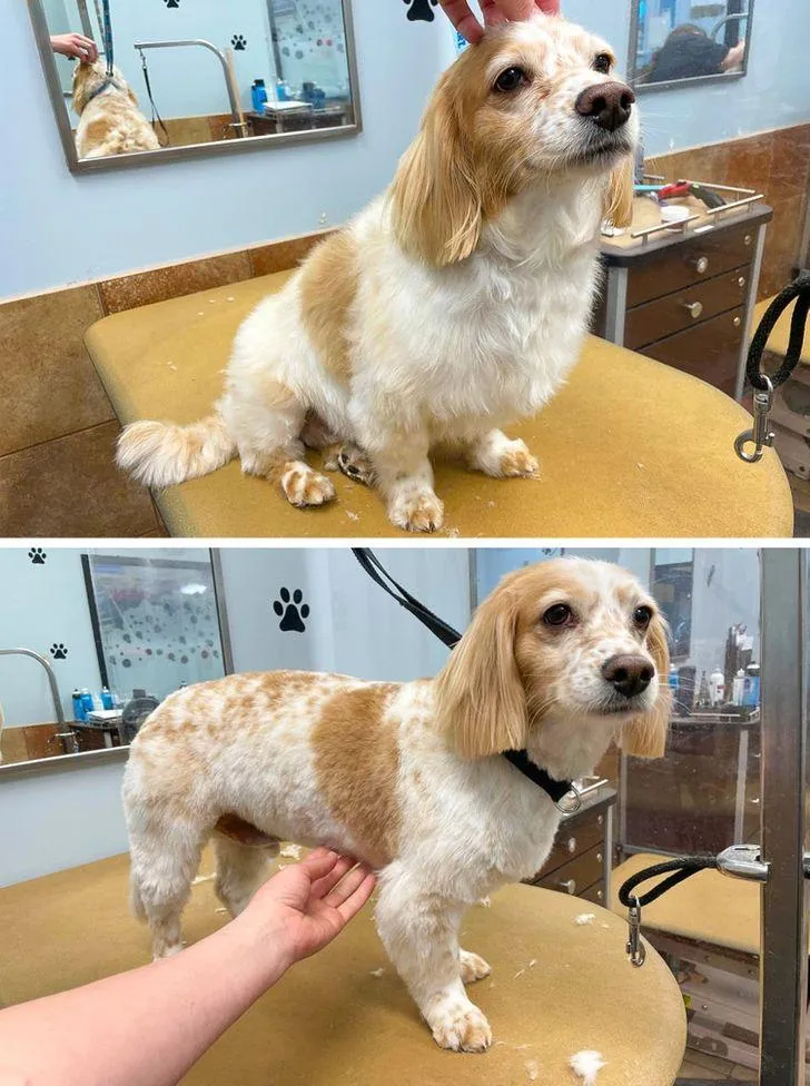 Коли прийшла тільки підстригти кінчики, а стала красунею Коли прийшла тільки підстригти кінчики, а стала красунею