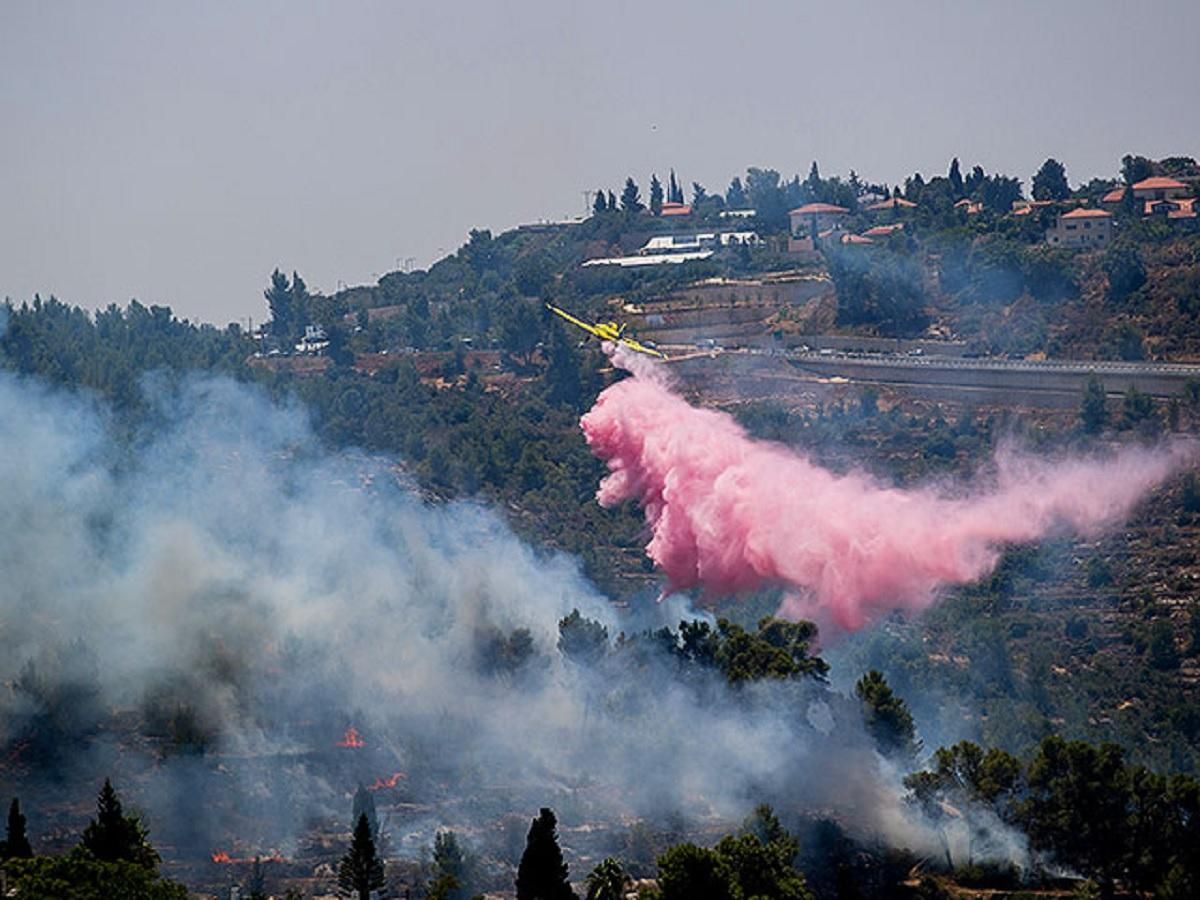 Єрусалимські гори охопили сильні пожежі: фото, відео