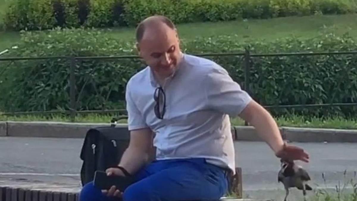 Мужчина нежно гладит ворону: киевлян растрогало милое видео - Киев