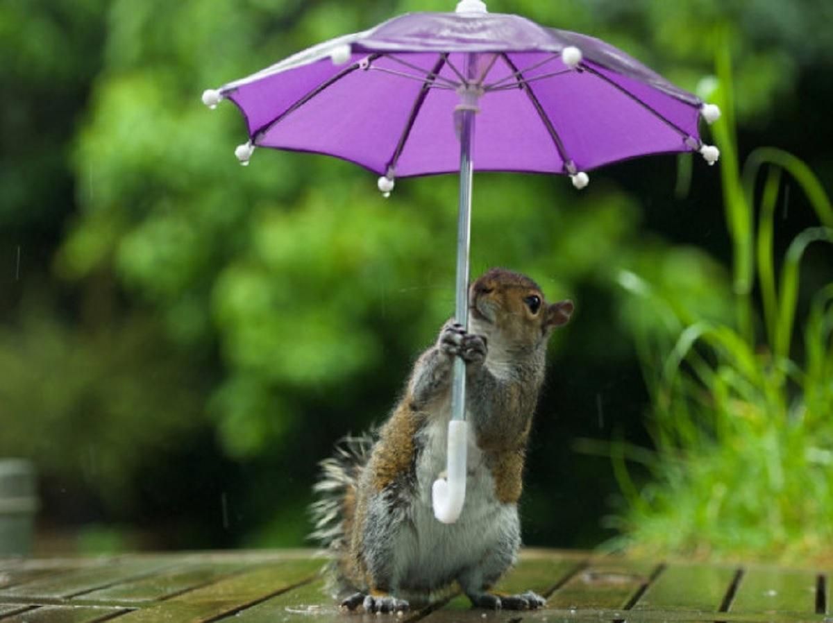 Погода 13 июня 2021: прогноз от синоптиков Украины Погода 13 июня 2021: прогноз от синоптиков Украины