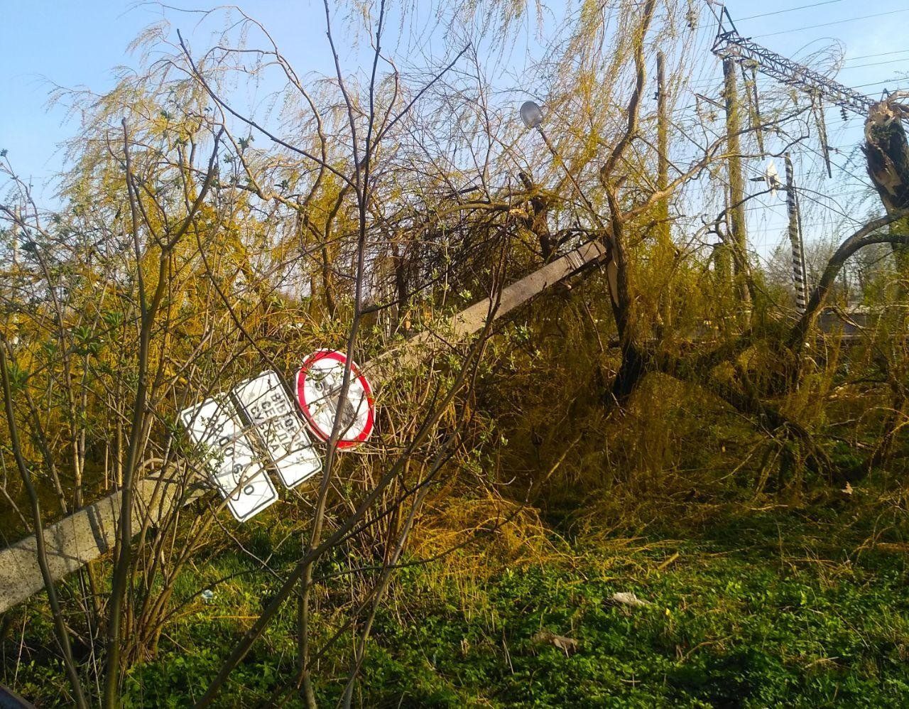 На Львівщині водій влетів у електроопору і загинув від ураження струмом 