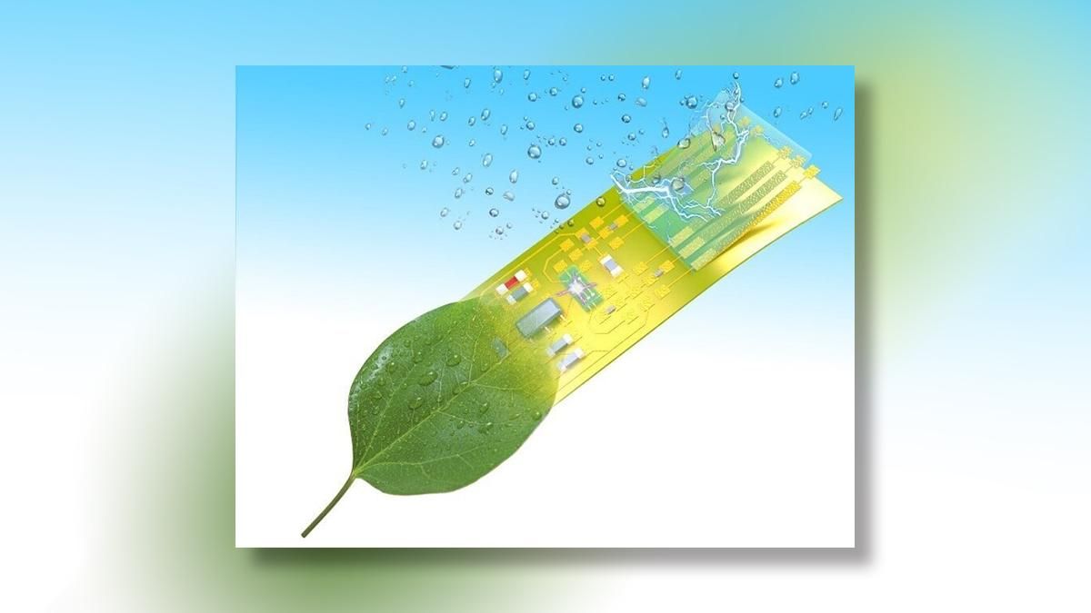 Создали биоэлектронное устройство, похожее на живой организм Создали биоэлектронное устройство, похожее на живой организм