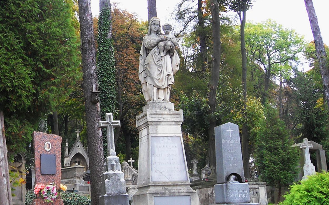 Львов компенсирует 15 миллионов гривен за срезанные деревья: в городе расширяют кладбища Львов компенсирует 15 миллионов гривен за срезанные деревья: в городе расширяют кладбища