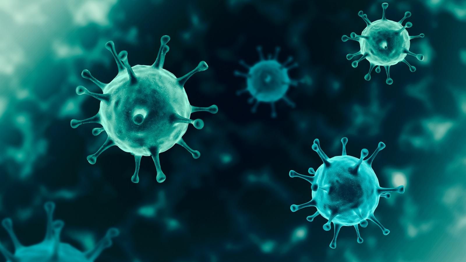 Полезны ли вирусы: могут ли вирусы быть полезными