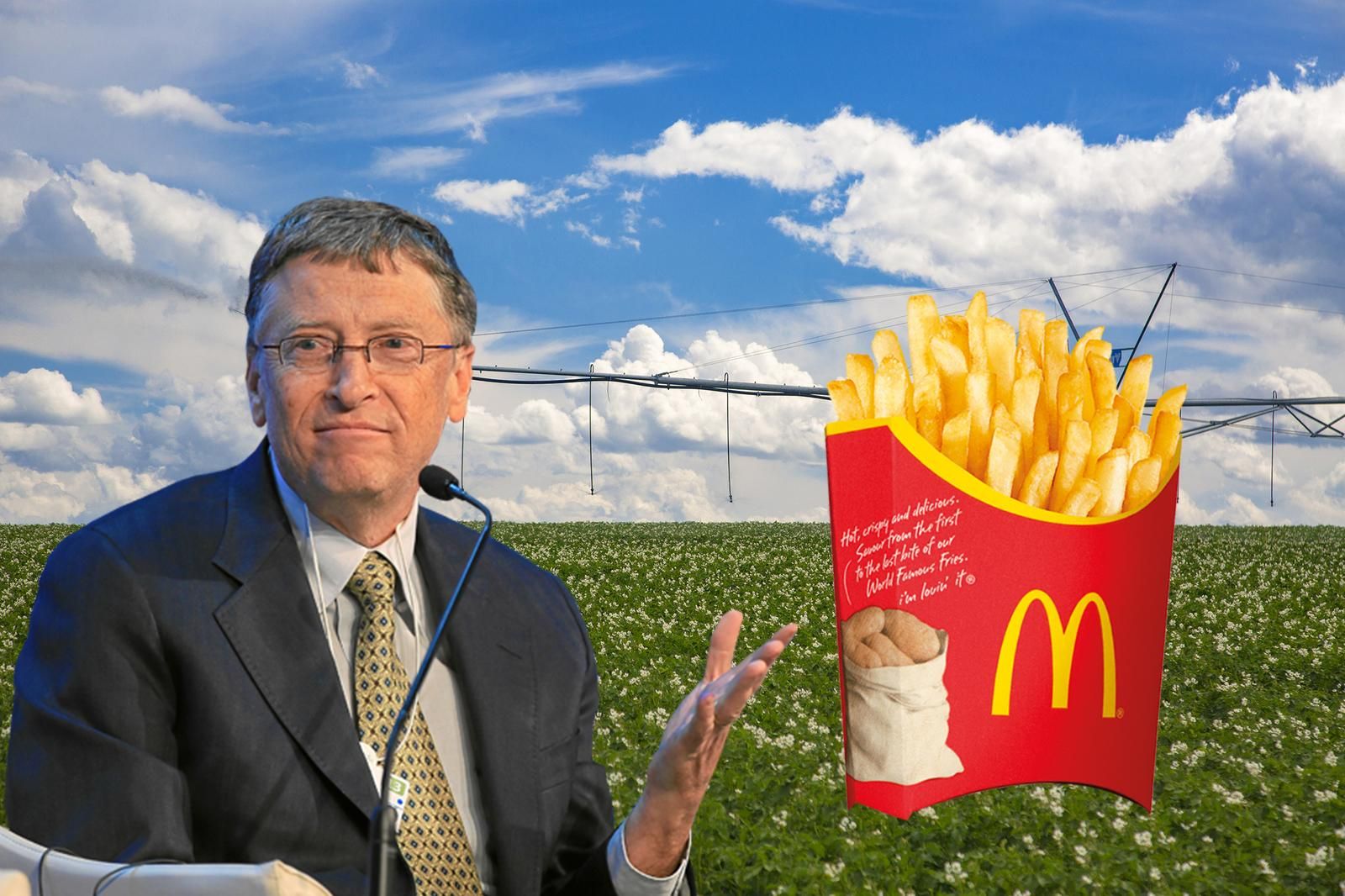 Білл Гейтс вирощує картоплю для McDonald`s