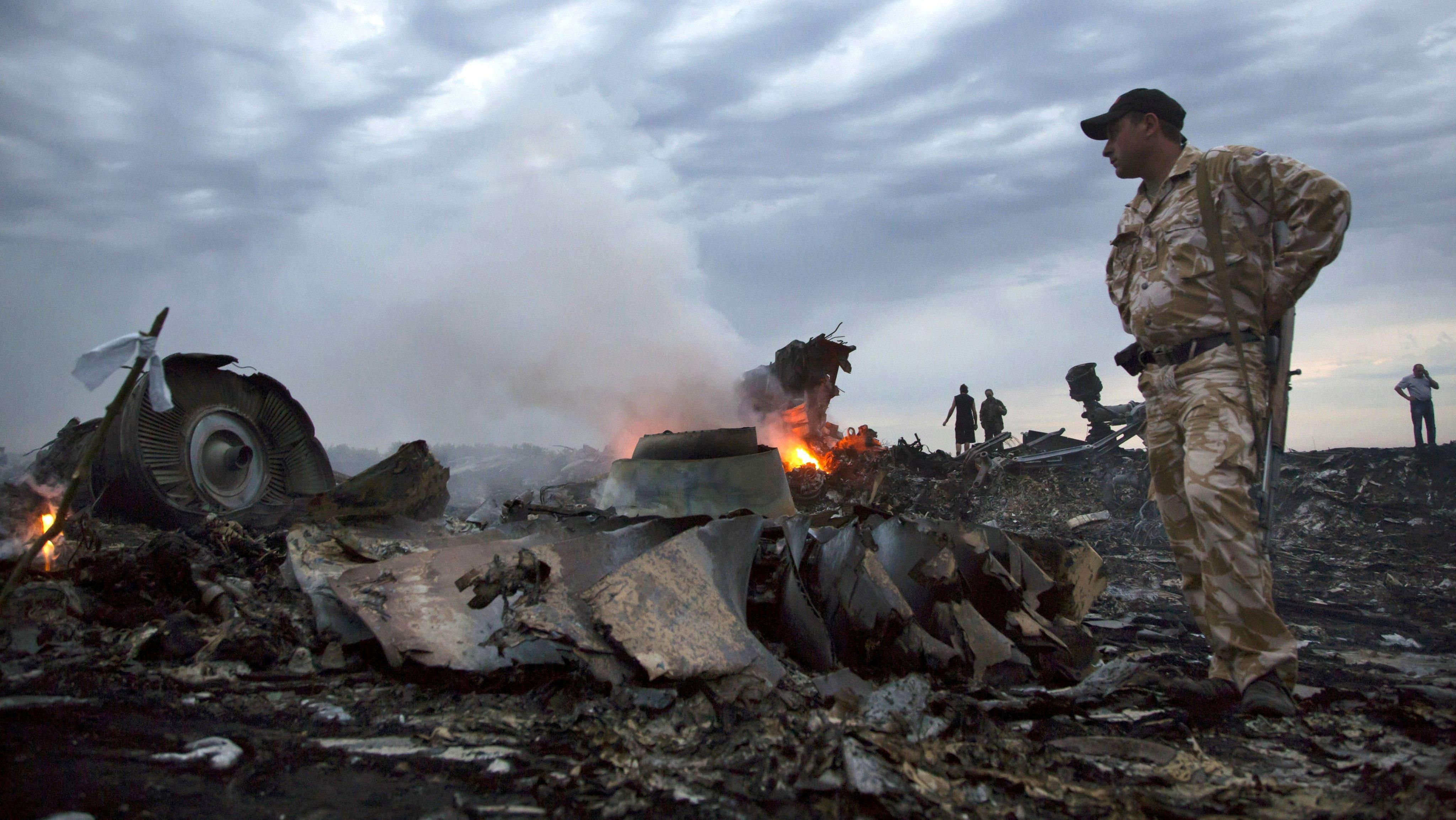 В авіакатастрофі MH17 могли бути ті, хто вижили, – журналіст