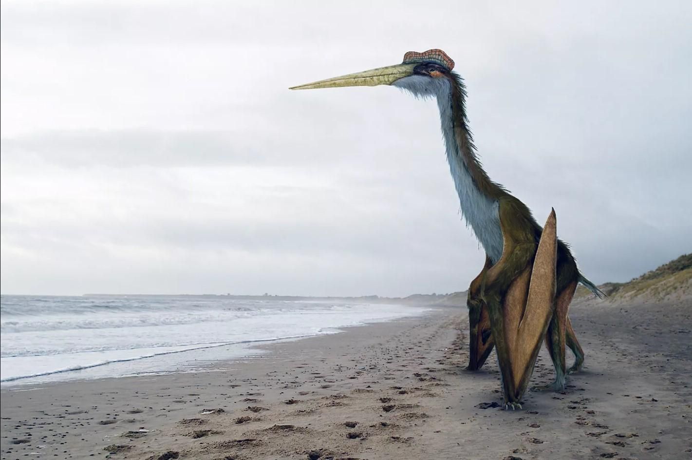 Птерозаври: найбільша літаюча істота на Землі