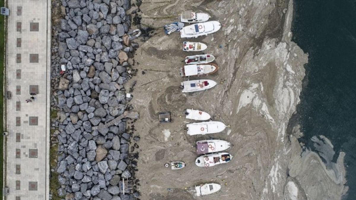 Морской слизь на Мраморном море: Туречиина борется с экокатастрофой Морской слизь на Мраморном море: Туречиина борется с экокатастрофой