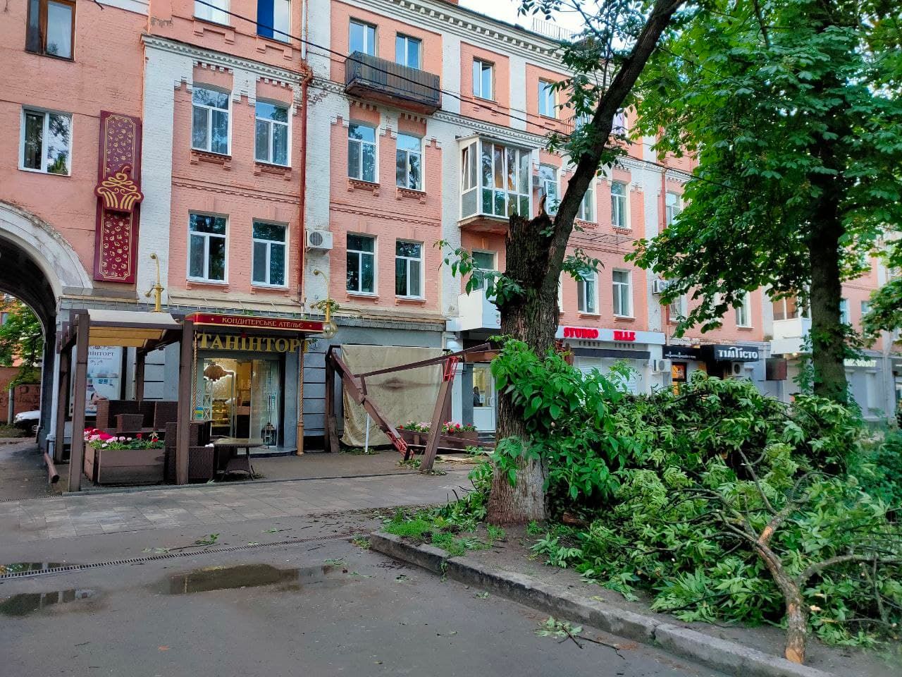 У Полтаві дерево впало на літній майданчик кондитерської: відео 