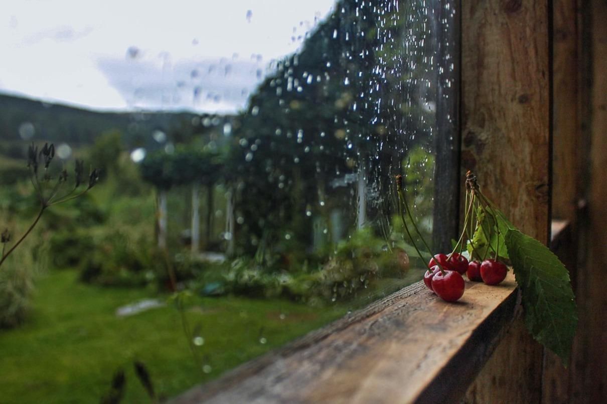 Погода 15 червня 2021: прогноз від синоптиків України Погода 15 червня 2021: прогноз від синоптиків України