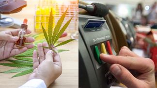 Легалізація медичного канабісу: Корнієнко розповів, чи підтримують законопроєкт "слуги"