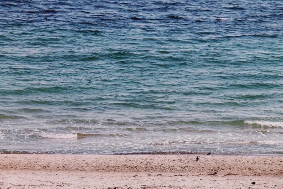 В Одессе запретили купаться в море из-за ливней В Одессе запретили купаться в море из-за ливней