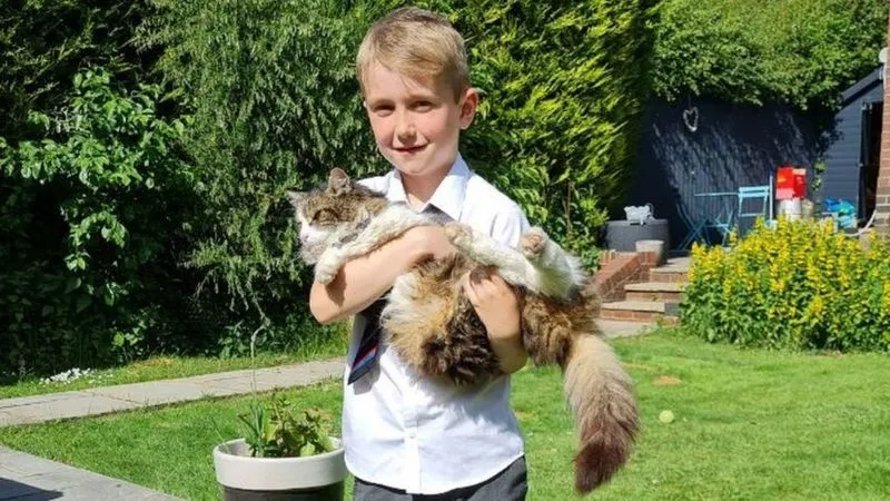 7-летний Реми называет возвращение кота чудом