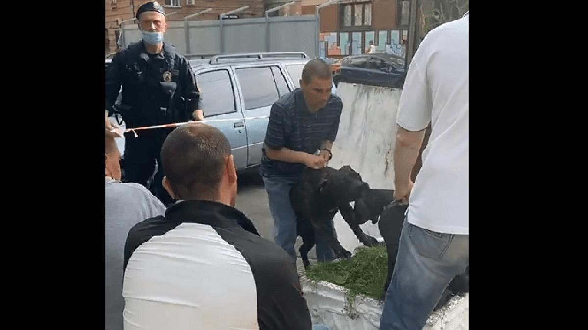 У Києві агресивний стаф ледве не розтерзав таксу У Києві агресивний стаф ледве не розтерзав таксу