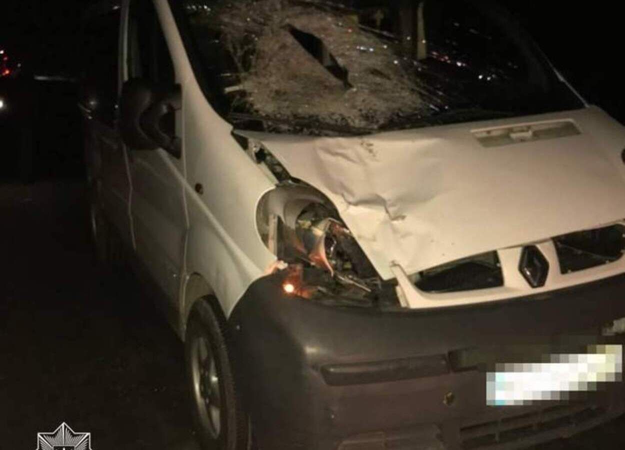 На трасі Львів – Краковець 16.06.2021 мікроавтобус на смерть збив пішохода: фото На трасі Львів – Краковець 16.06.2021 мікроавтобус на смерть збив пішохода: фото