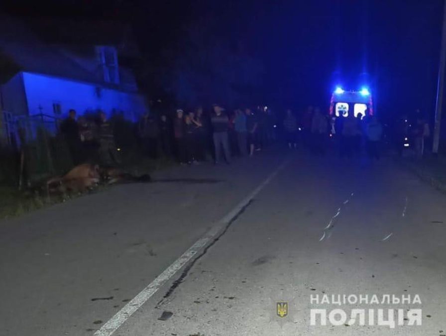 На швидкості влетів у коня: на Львівщині трагічно загинув мотоцикліст – фото На швидкості влетів у коня: на Львівщині трагічно загинув мотоцикліст – фото