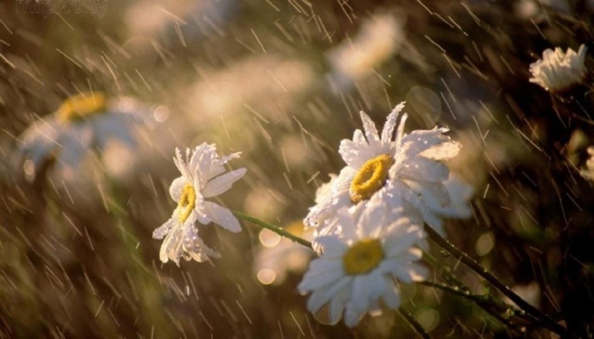 Непогода 17 - 18 июня 2021: на Юг и Восток идут грозы, шквалы Непогода 17 - 18 июня 2021: на Юг и Восток идут грозы, шквалы