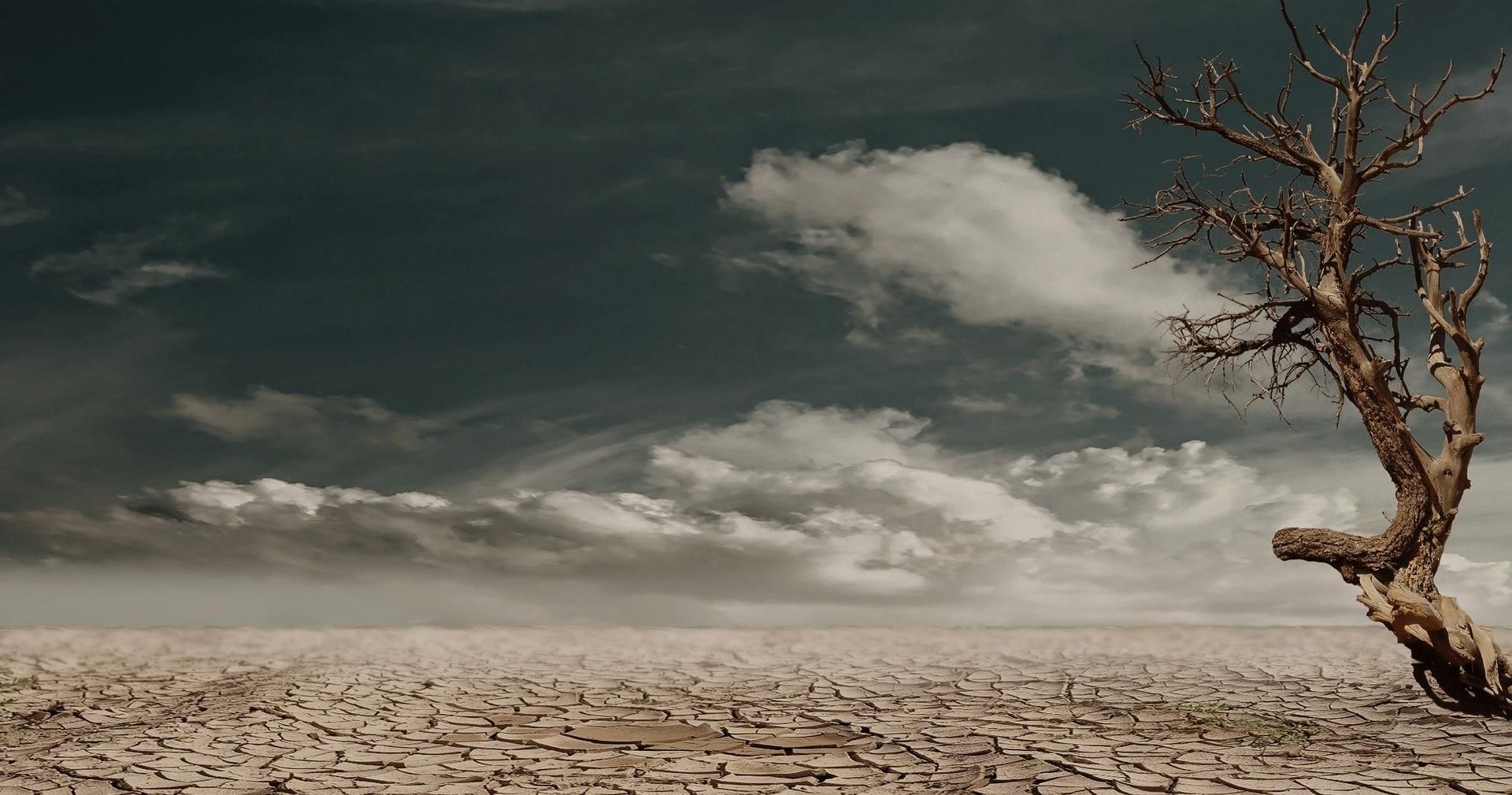 ООН попереджає про наступну пандемію: чого вона стосуватиметься ООН попереджає про наступну пандемію: чого вона стосуватиметься