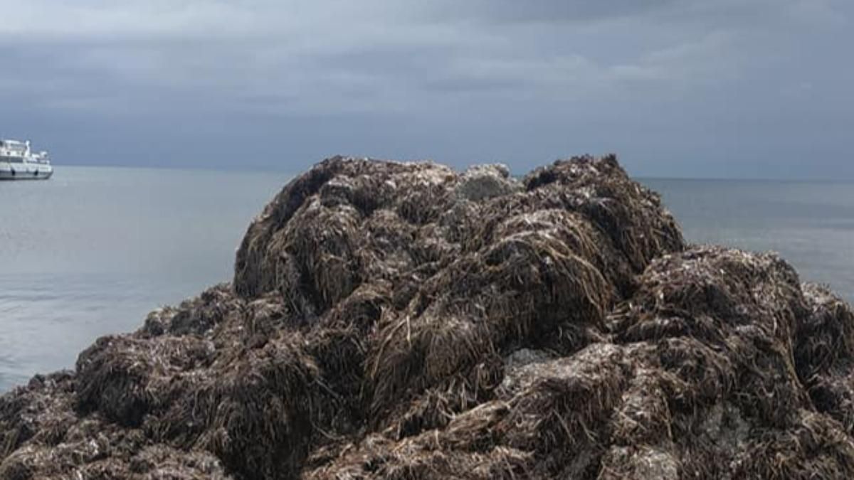 Отдыхающие жалуются на отдых в Скадовске Отдыхающие жалуются на отдых в Скадовске