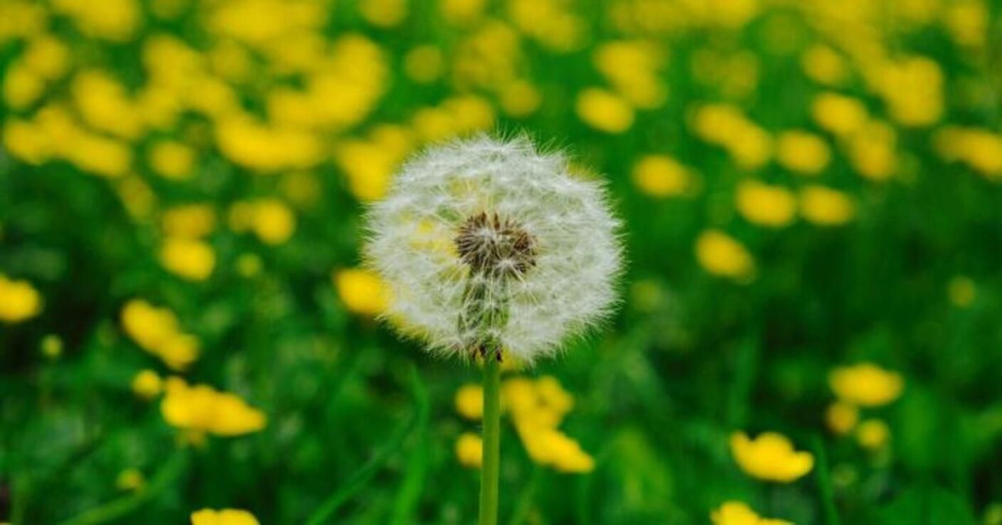 Погода 22 червня 2021: прогноз від синоптиків України Погода 22 червня 2021: прогноз від синоптиків України