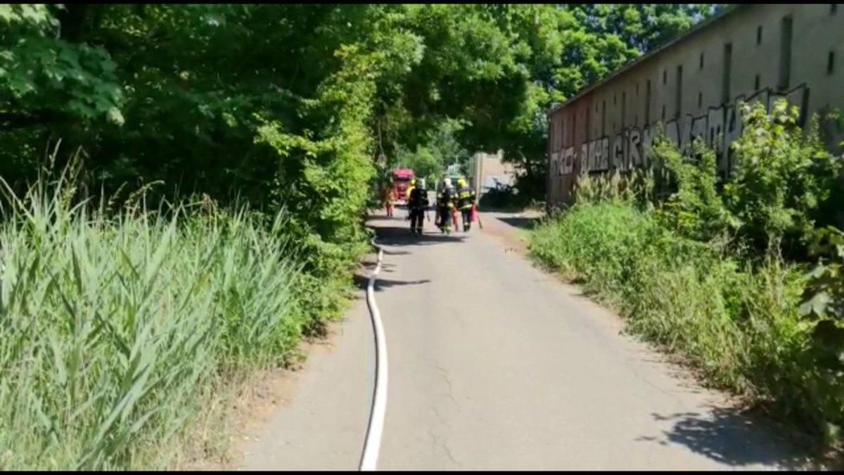 У Чехії стався витік хімікатів на очисному підприємстві: є загиблі У Чехії стався витік хімікатів на очисному підприємстві: є загиблі