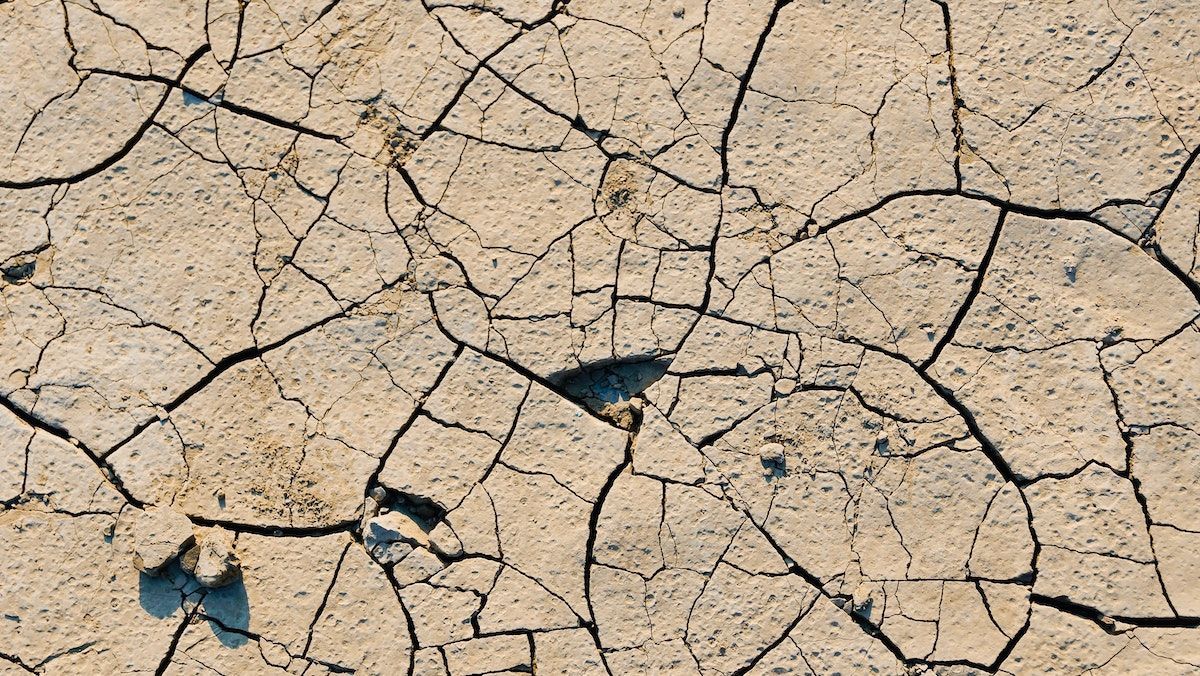 Украина и Молдова возглавили рейтинг стран с высочайшим риском засухи Украина и Молдова возглавили рейтинг стран с высочайшим риском засухи