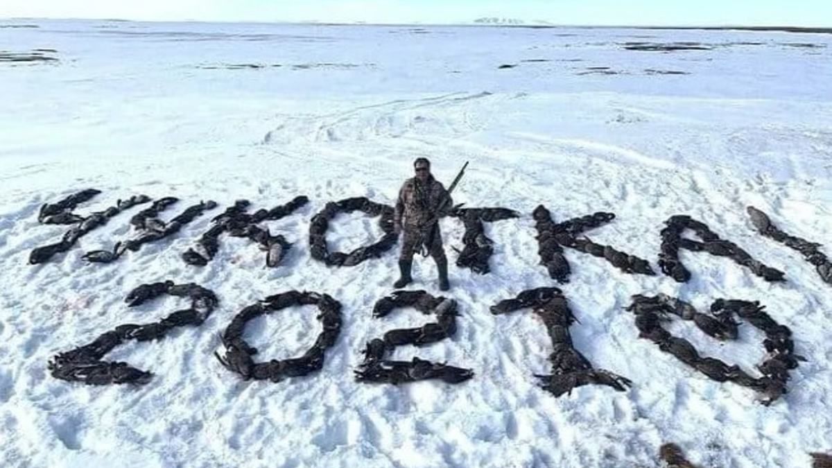 Депутат з партії Путіна виклав на снігу напис з 200 убитих птахів
