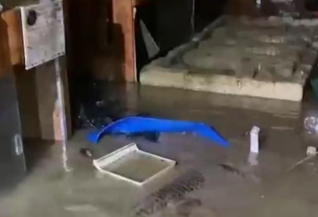 У Ялті затопило крокодиляріум: відео з місця подій