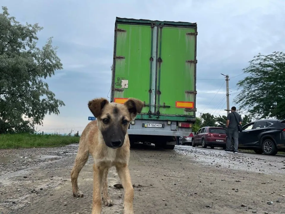 Українські вболівальники на кордоні