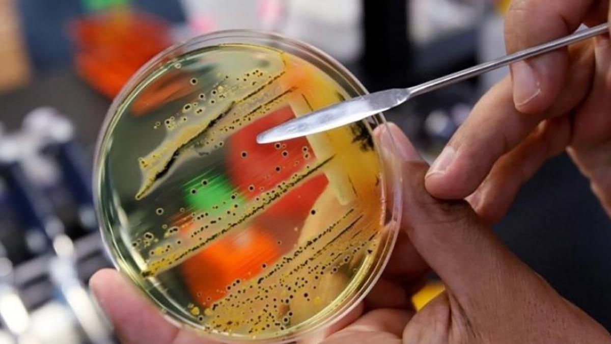 Отруєння в Харкові в Якіторії: яка причина Отруєння в Харкові в Якіторії: яка причина