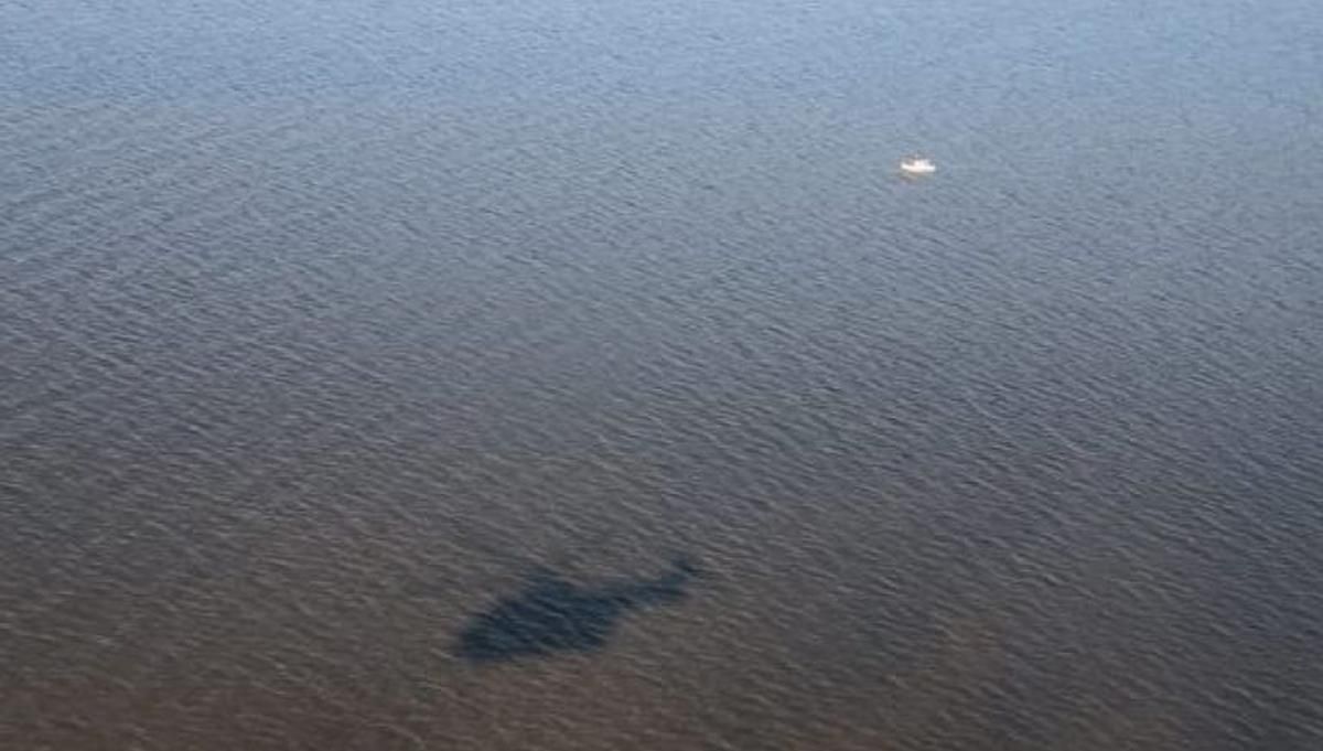 На Киевском водохранилище нашли тело 10-летней девочки На Киевском водохранилище нашли тело 10-летней девочки