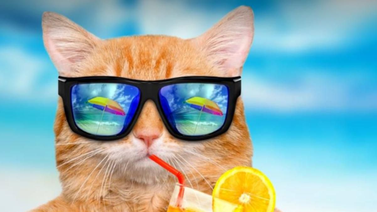 Погода 24 июня 2021: прогноз от синоптиков Украины Погода 24 июня 2021: прогноз от синоптиков Украины