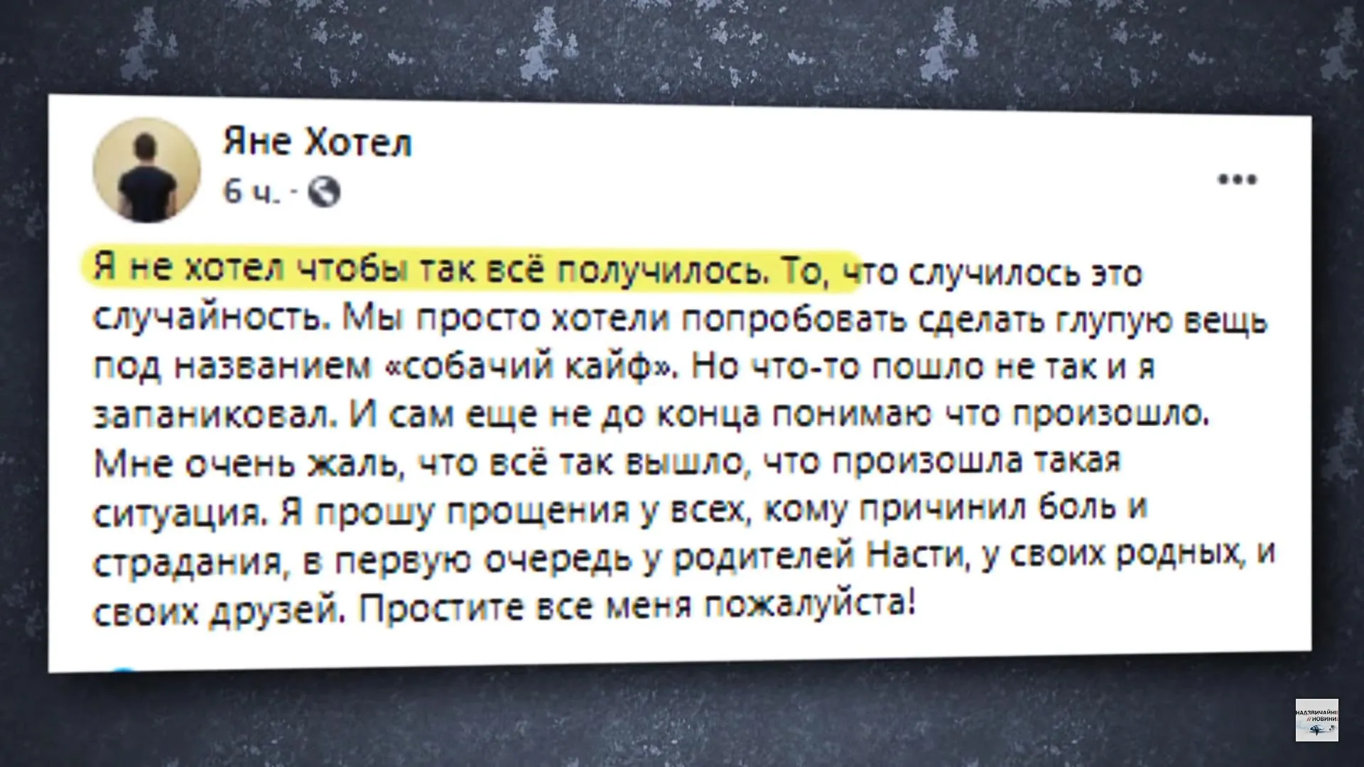 Розкаявся вбивця 15-річної дівчини Нікополь версія подій у фейсбуці