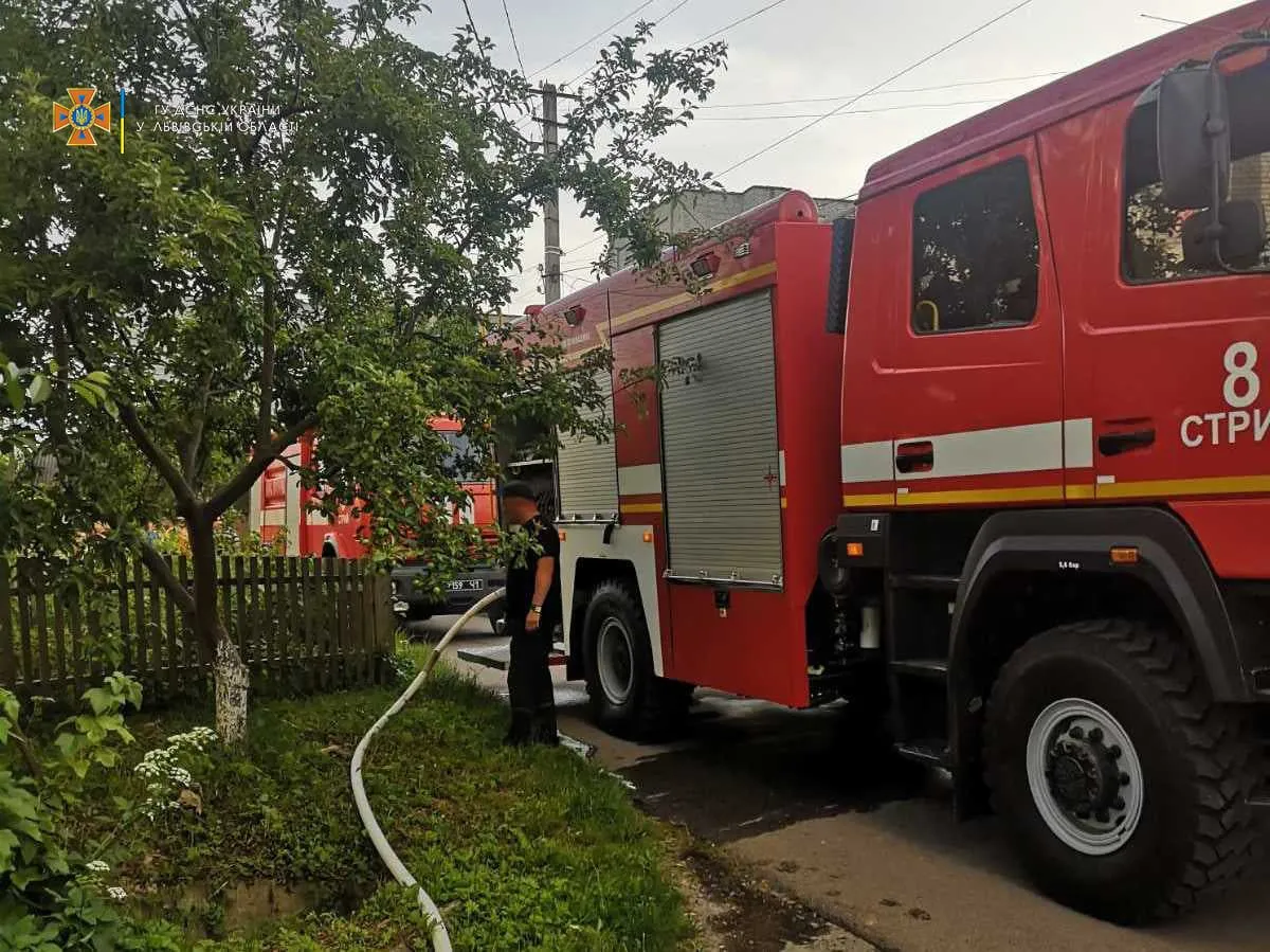 На Львівщині посеред дороги вщент згорів пасажирський автобус: фото