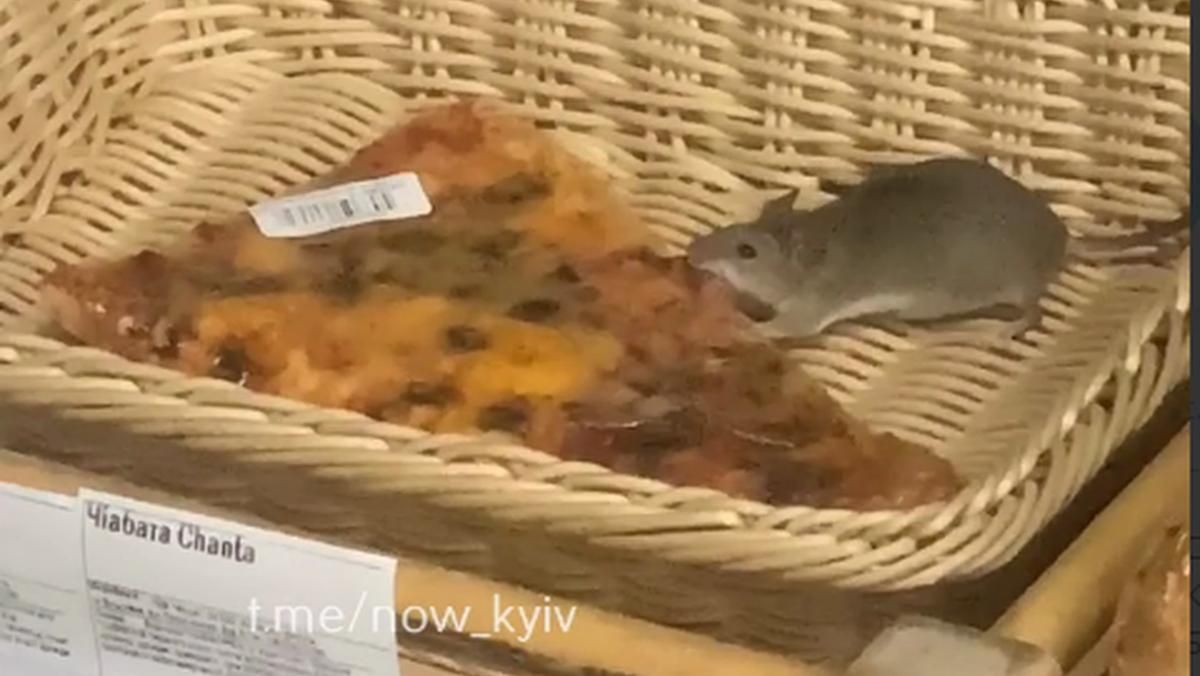 У київському супермаркеті побачили маленького пацючка