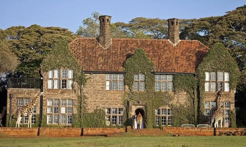 Пасинок кернеса сніданок із жирафами жінки кернеса Пасинок кернеса сніданок із жирафами жінки кернеса