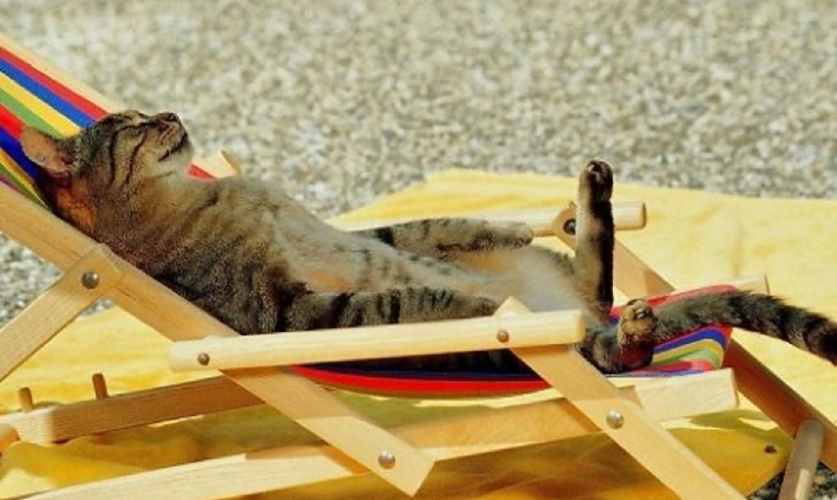 Погода 29 червня 2021: прогноз від синоптиків України Погода 29 червня 2021: прогноз від синоптиків України