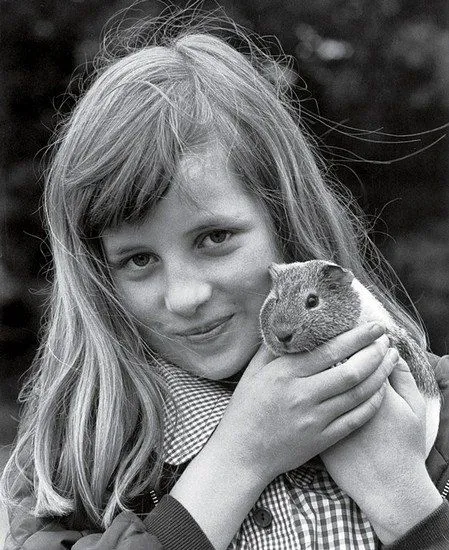 Принцеса Діана Принцеса Діана